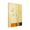 Trademark Fine Art Pablo Esteban 'Bamboo On Yellow' Canvas Art, 16x24 ALI46096-C1624GG